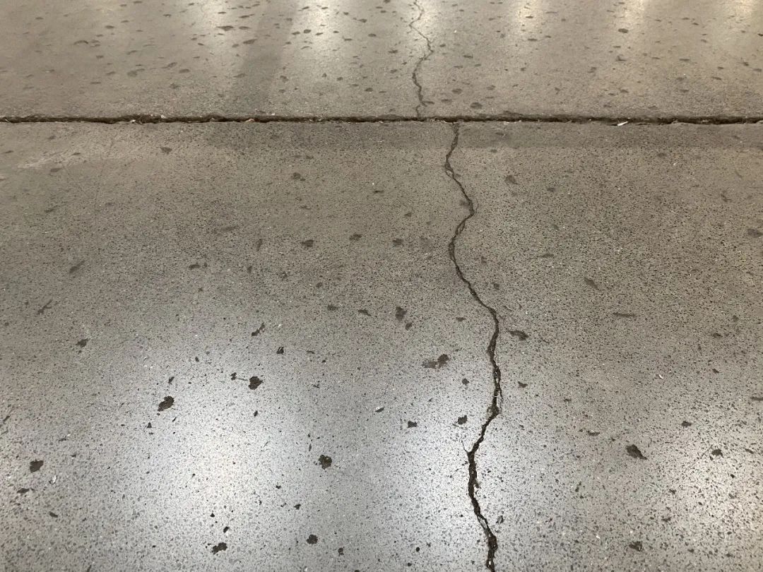 117.jpg