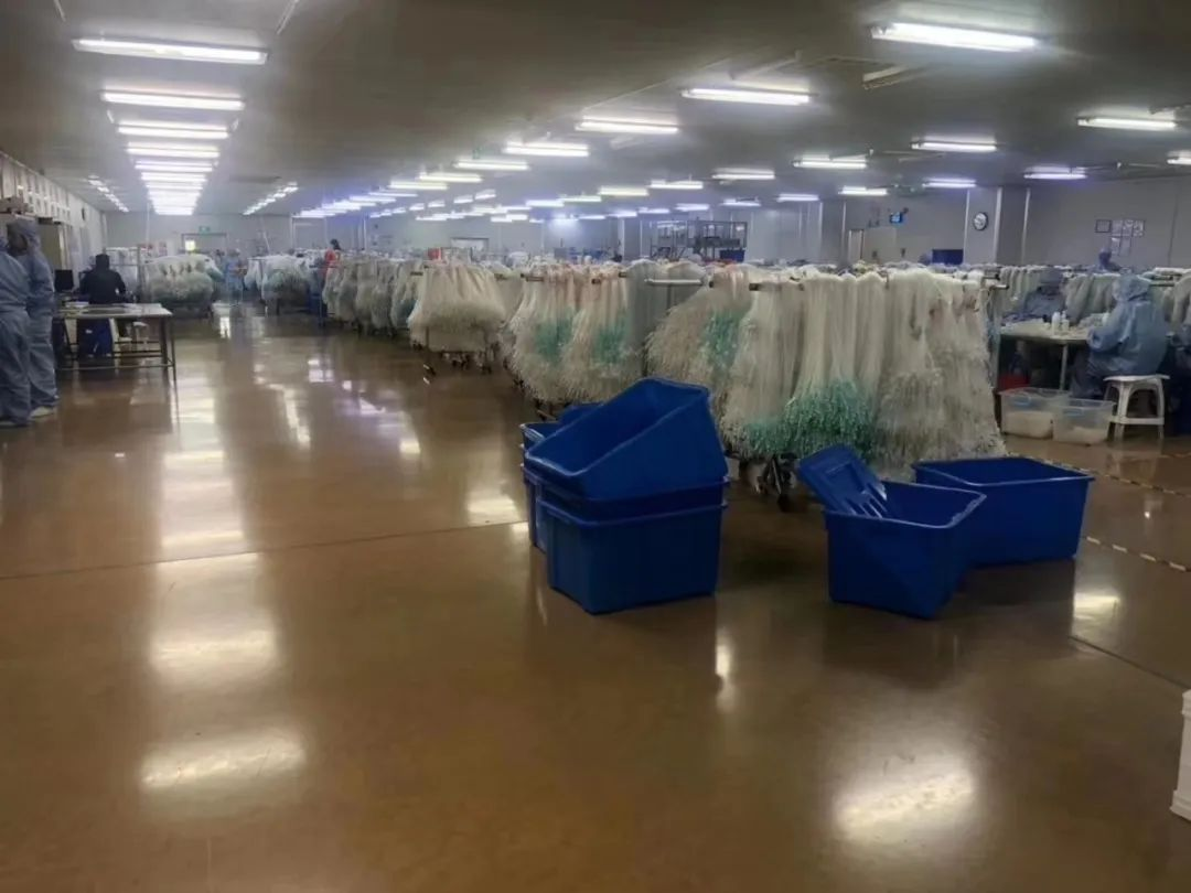 固化地坪
